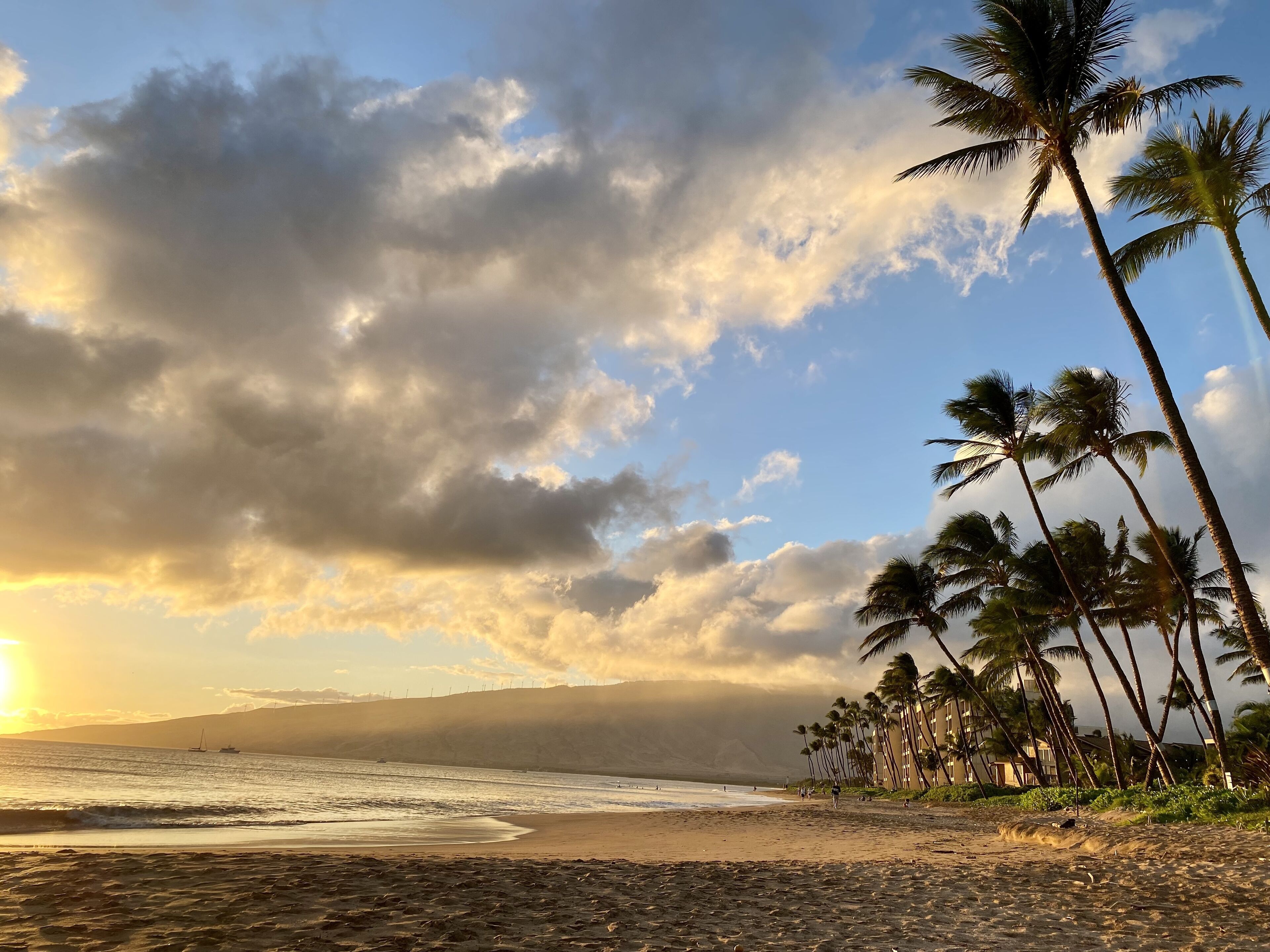 على الشاطئ، كراسي للتشمس، مناشف للشاطئ