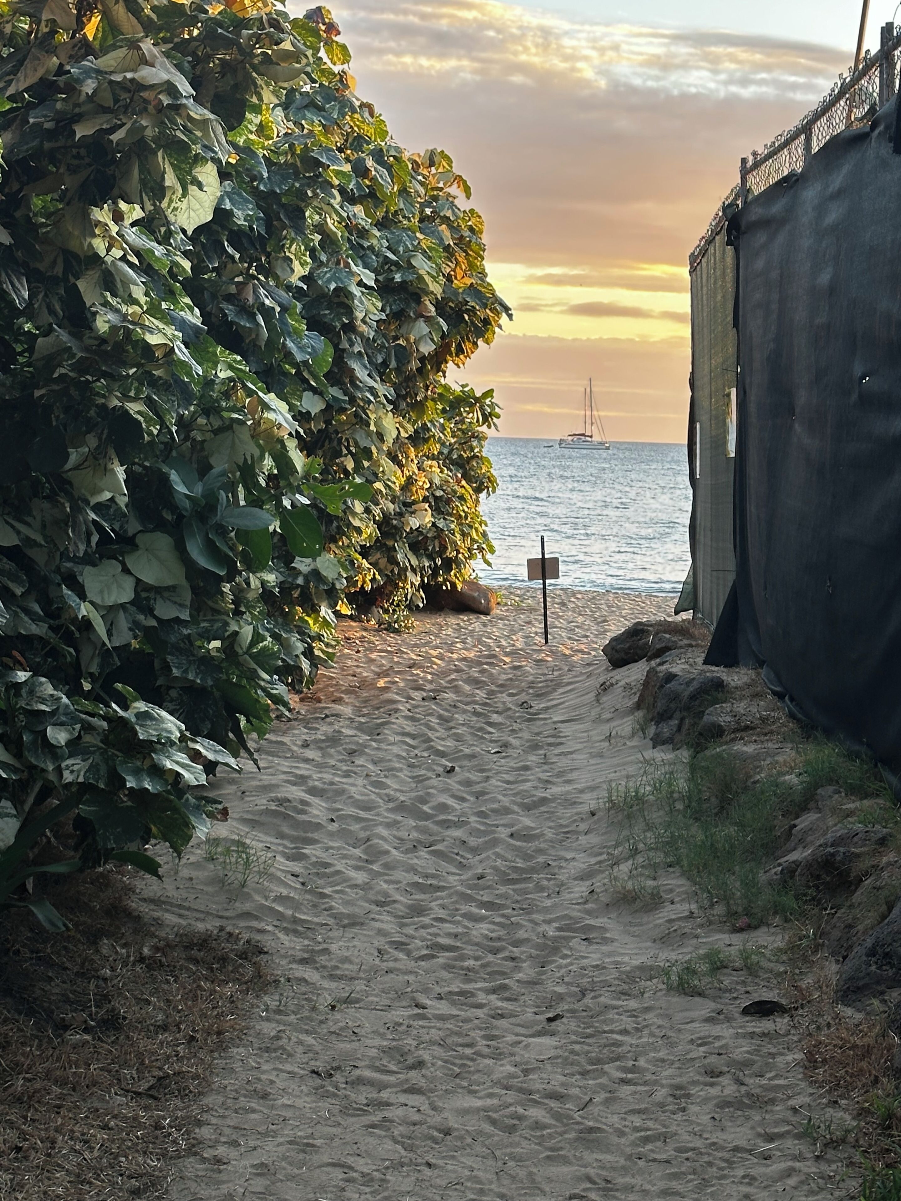 On the beach, sun loungers, beach towels