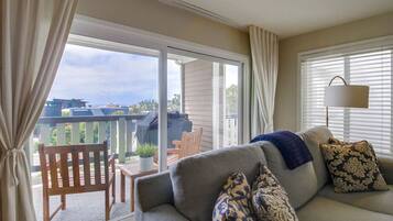 TV connectée, cheminée, livres, chaßne hi-fi