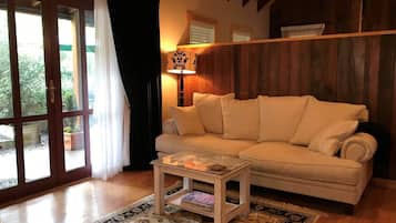 TV, lareira, DVD player
