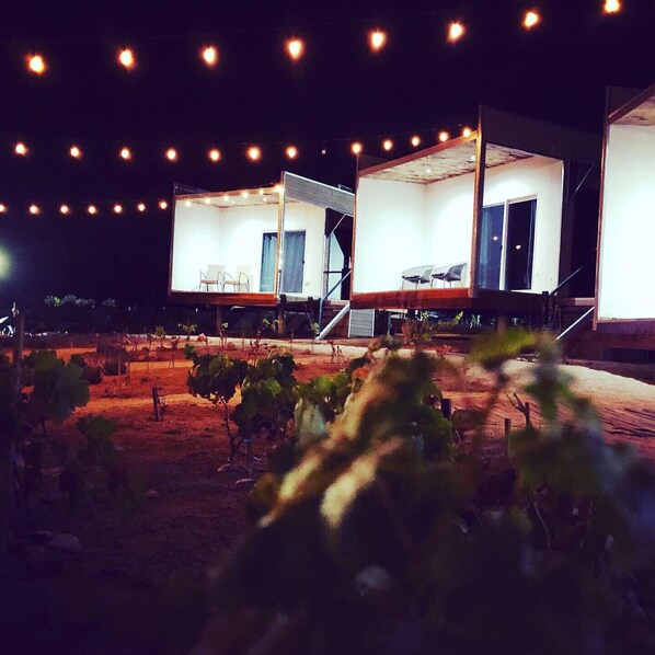 Fachada del alojamiento - Noche