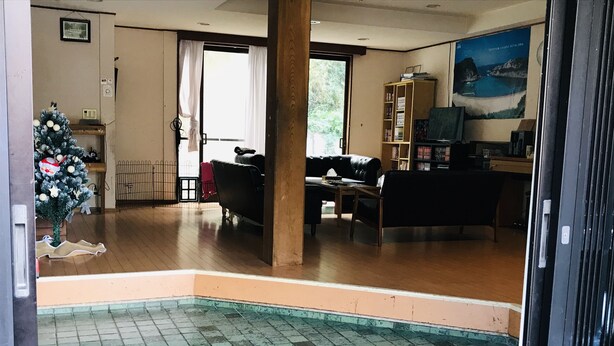 Un soggiorno con camino, albero di Natale e area piscina.