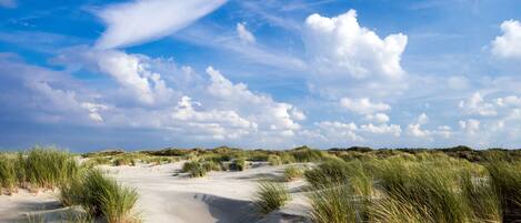 In Strandnähe, Liegestühle