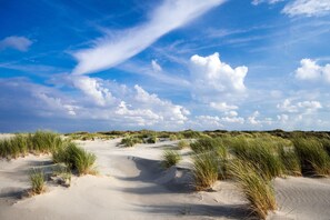 Plage à proximité, chaises longues
