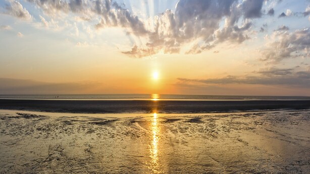 A beach with the sun setting over the horizon, creating a reflection on the wet sand. - Dünentraum, Ferienwohnung in "De Feerjenhusen" am Haubarg von Vollerwiek (Vollerwiek)