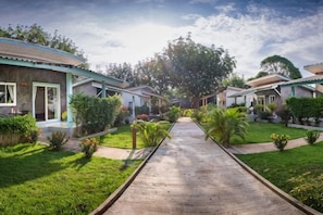 Un camino que lleva a una hilera de casas con un árbol grande en el centro.