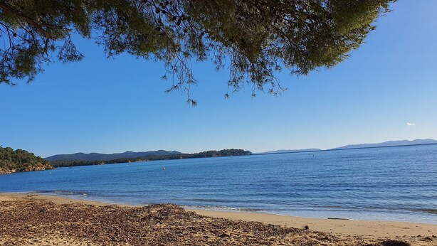 A beach with clear blue water, a sandy shore, and a forested area in the background. - STANDING villa, 450m from the BEACHES, heated SWIMMING POOL, SUPERB SEA VIEW, beautiful garden (Le Lavandou)