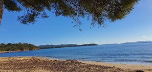 Une plage avec une eau d’un bleu limpide, un rivage sablonneux et une zone boisée en arrière-plan.