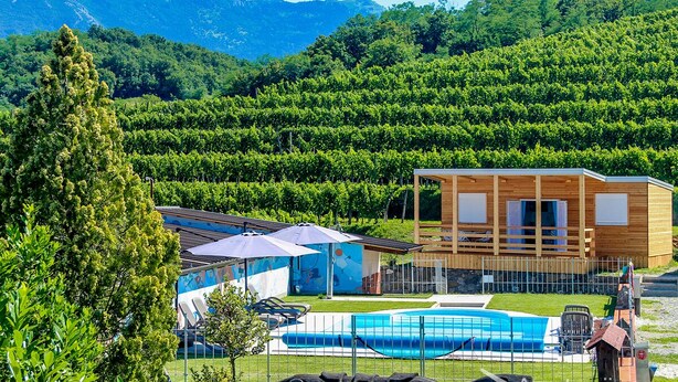 Une cabane moderne en bois, dotée d’une piscine, entourée de vignobles verdoyants et avec des montagnes en toile de fond.