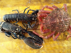 Imagen sin descripción, 2 de 16, botón