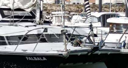 "Falbala Experience liveaboard catamaran