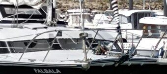 Idéfix crucero de mar habitable de 10 m