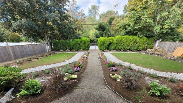 A well-maintained garden with a gravel path, neatly trimmed hedges, and a variety of flowering plants. - Thien May Guest House. Up to 6 guests (Surrey)