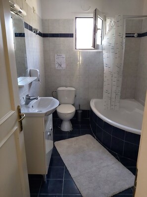 Bathtub, shampoo - House (Fiki, Trikala)