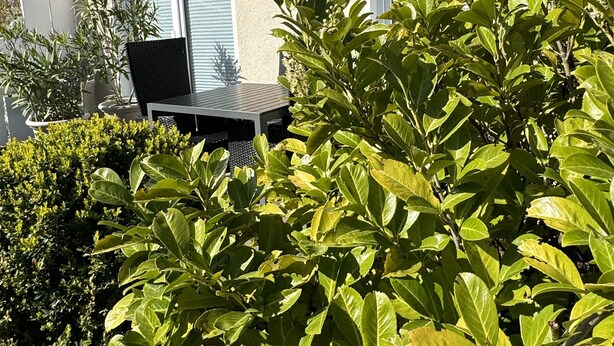 Terrace/patio - Small vacation home with terrace - your oasis of relaxation 🏡🌞 near the Baltic Sea (Ortsamt 2)