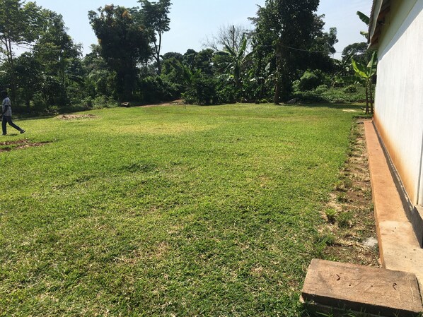 Jardim