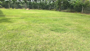 BBQ/picnic area