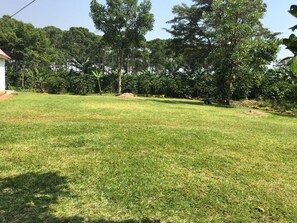 Jardin
