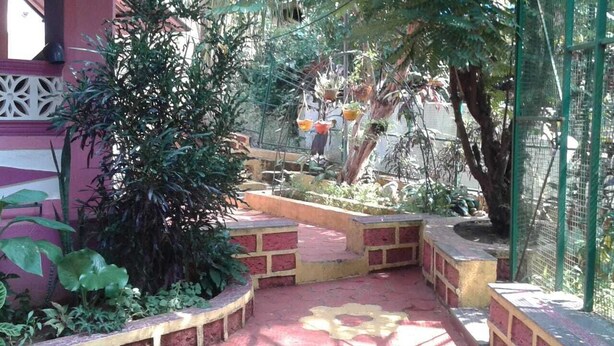 A garden area with a paved walkway, potted plants, and a tree. - Maria's House  (Shiroda)