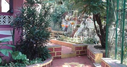 Maria's House