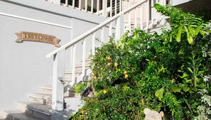 Exterior detail - BEACH, BEACH, BEACH + PRIVATE POOL = YIPPEE! (English Harbour)