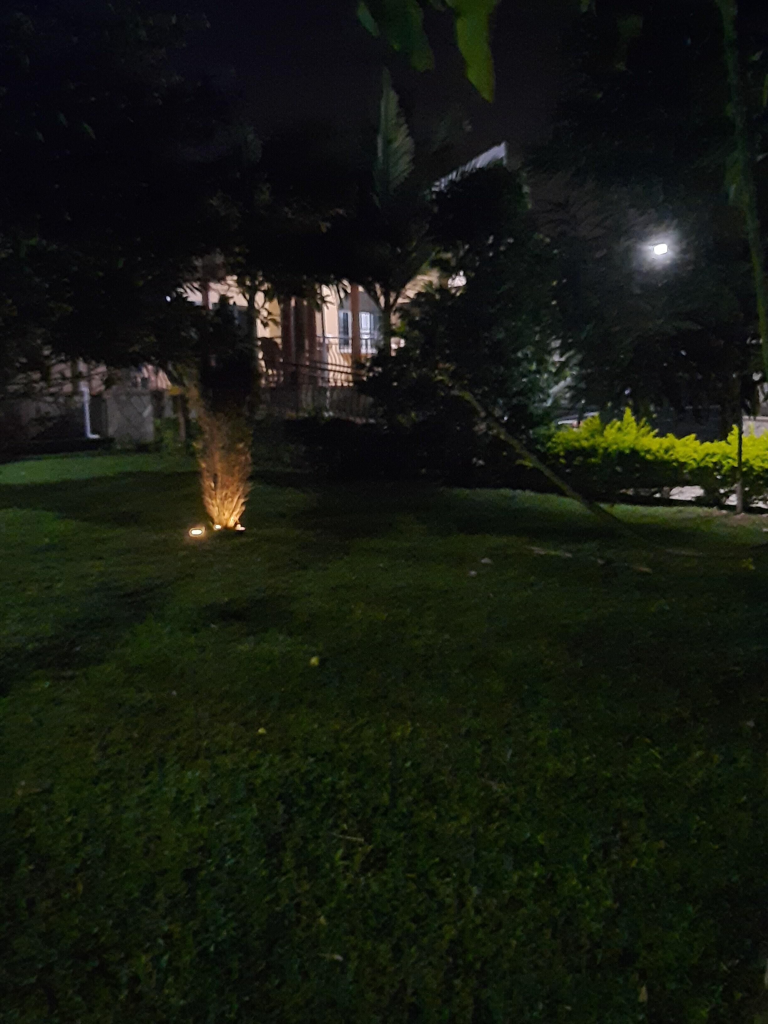 A nighttime view of a well-maintained garden with a small tree and a pathway leading to a building with illuminated windows.