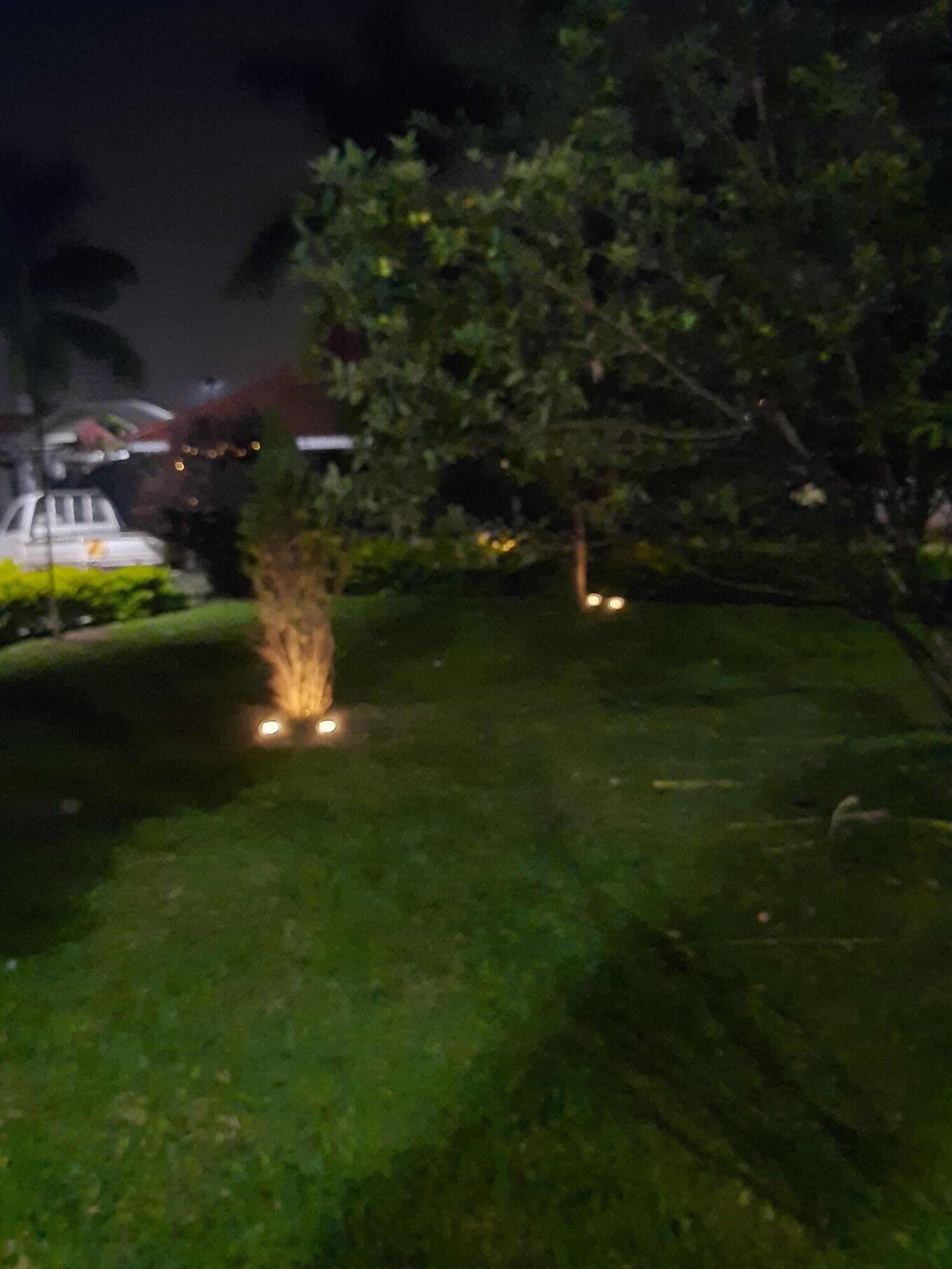 A nighttime view of a well-maintained lawn with a small tree and a white car parked in the background.