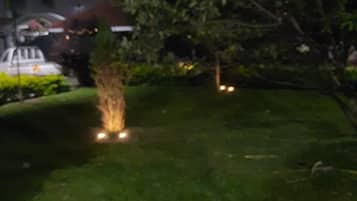 Vista nocturna de un césped cuidado con un árbol pequeño y un coche blanco estacionado al fondo.