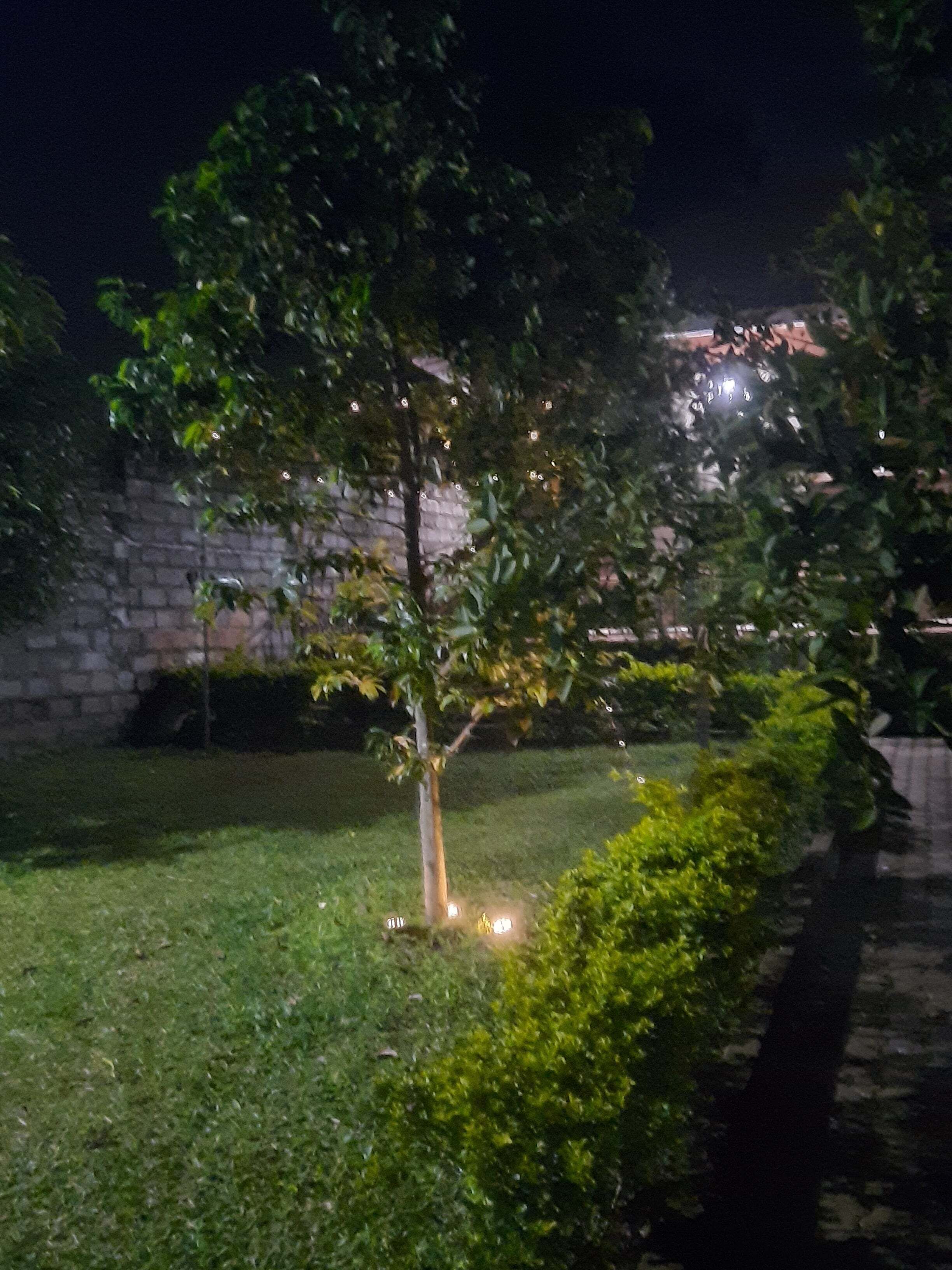 A nighttime outdoor area with a tree, grass, and a stone wall.