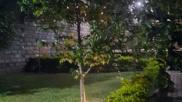 حديقة