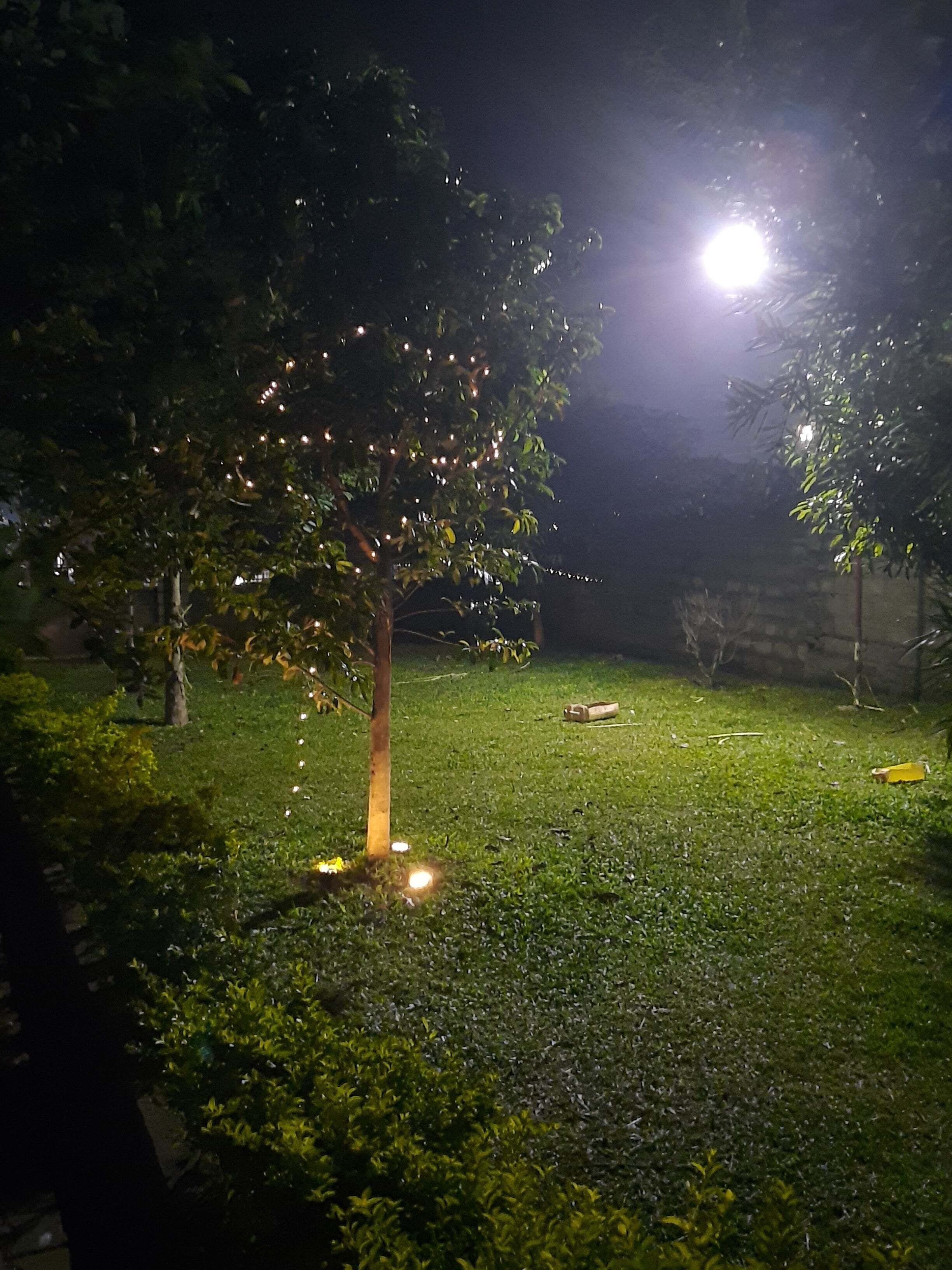 Un árbol con luces colgantes por la noche, un área con césped y un muro de ladrillo al fondo.