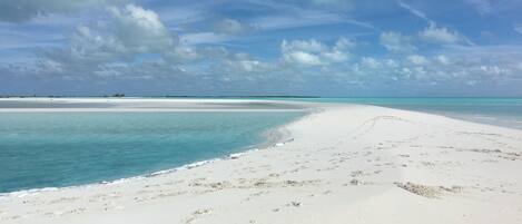 Serviettes de plage