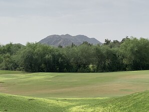 高尔夫