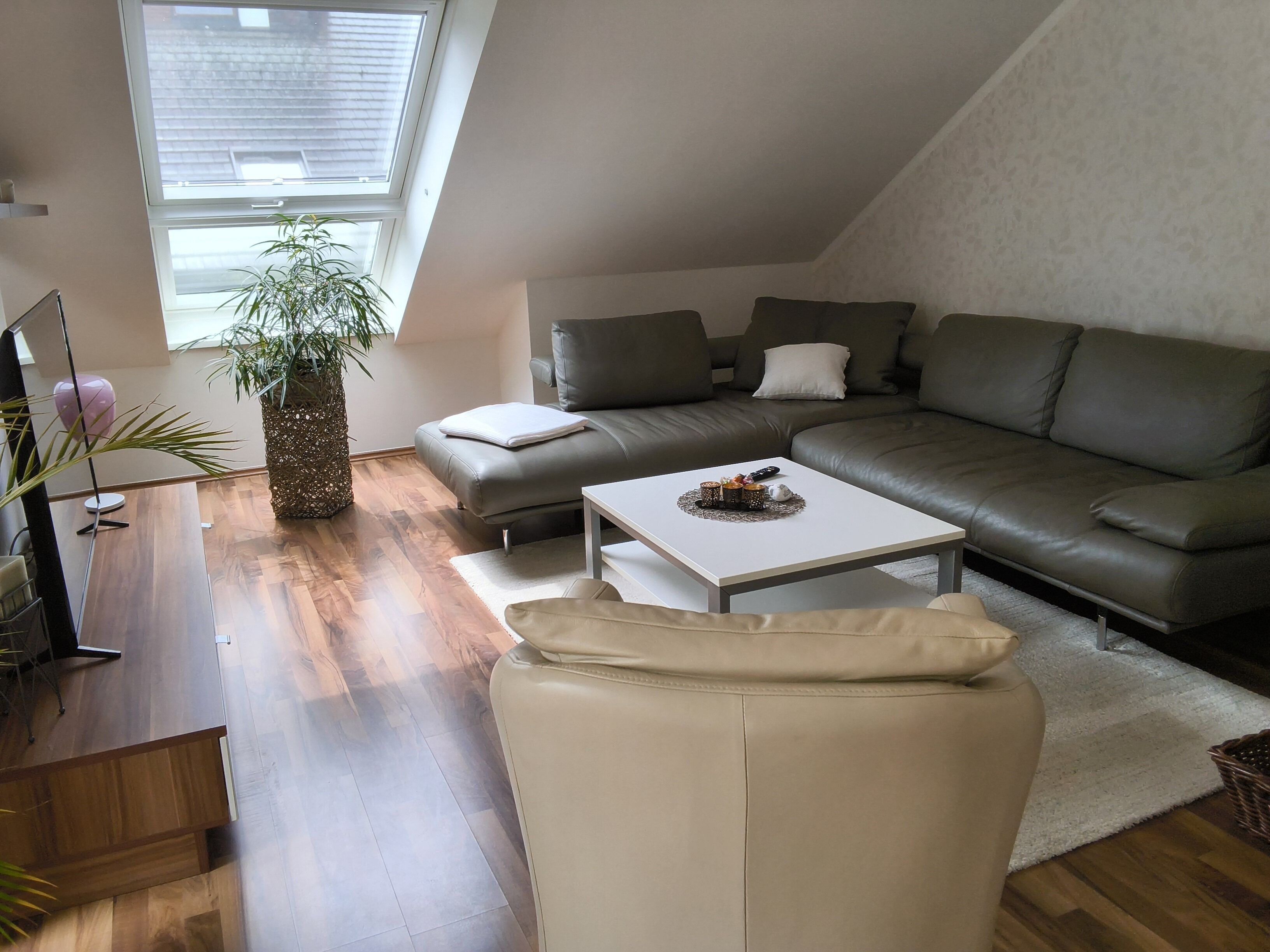 A modern living room with a sectional sofa, a coffee table, and a potted plant.