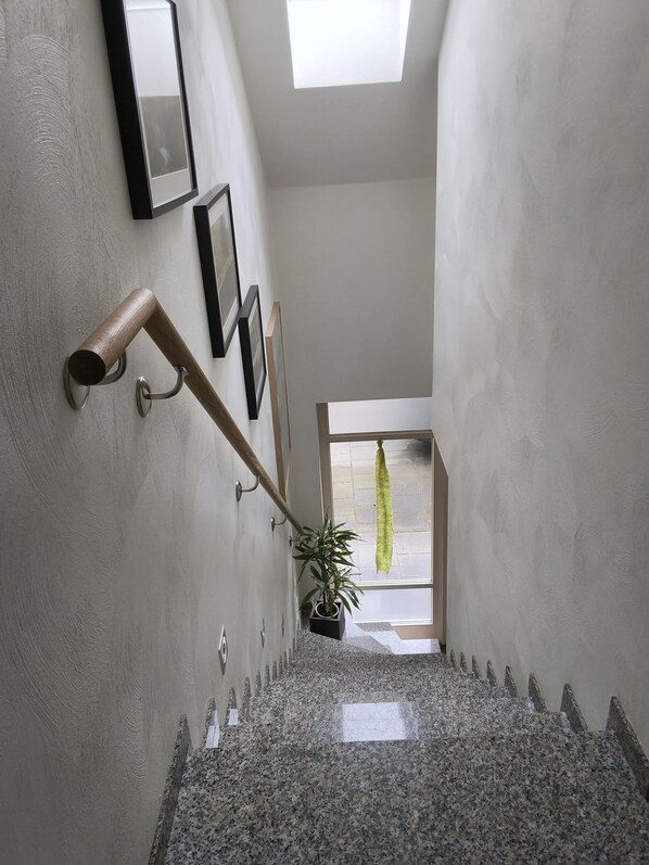 Una escalera con barandilla, una planta en maceta y cuadros en la pared.