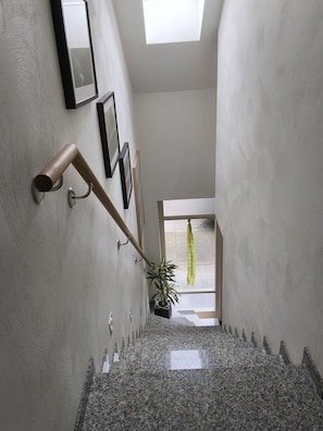 Un escalier avec une rampe, un pot de fleurs et des tableaux encadrés accrochés au mur.
