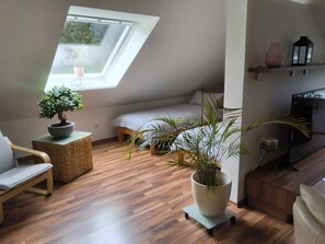 A loft-style bedroom with a skylight, a bed, a sofa, a TV, and a potted plant.