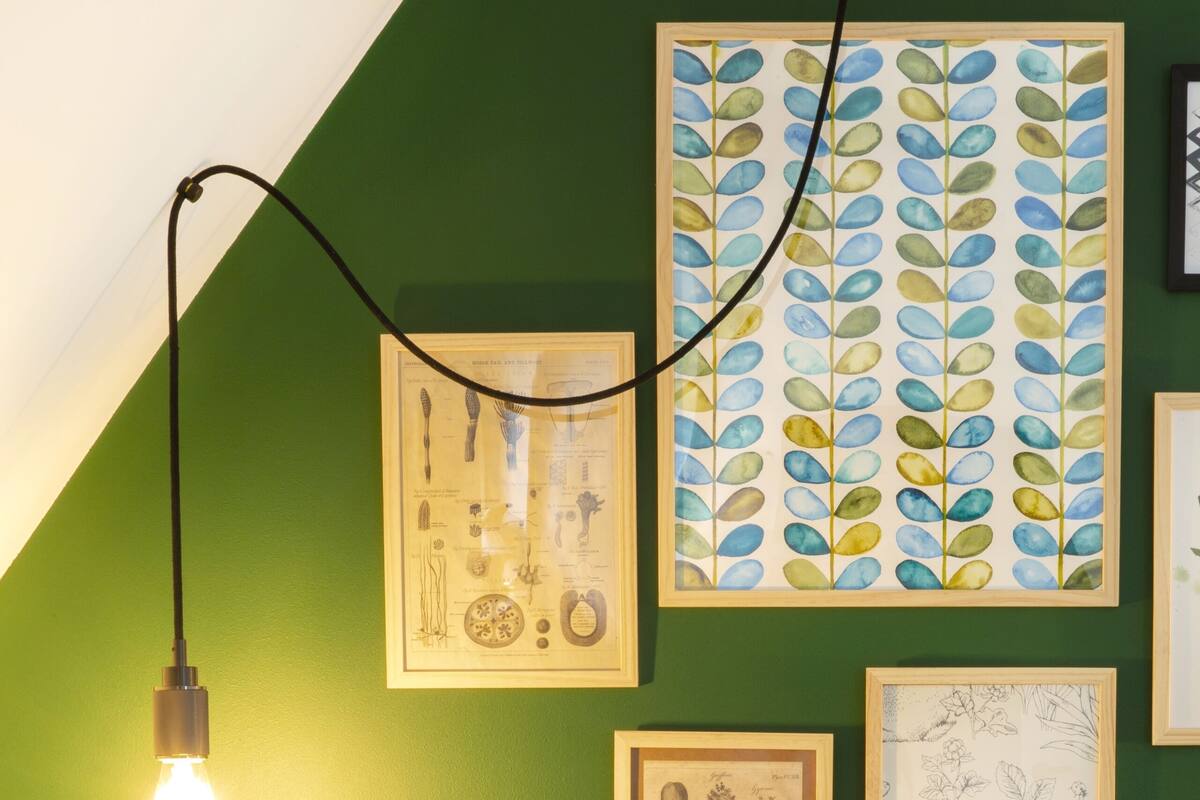 A room with a green wall, a bed with mossy green bedding, and framed botanical illustrations.