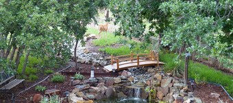 Eigen ingang, lager niveau suite met kingsize bed en dieren in het wild