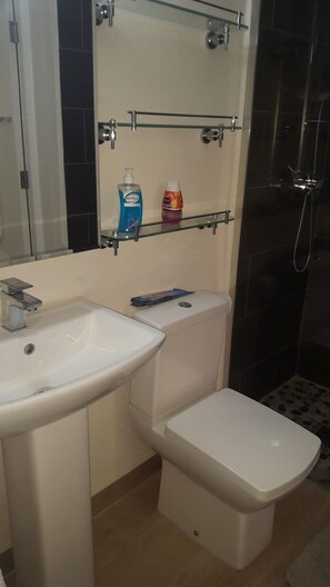 Shower, hair dryer, towels