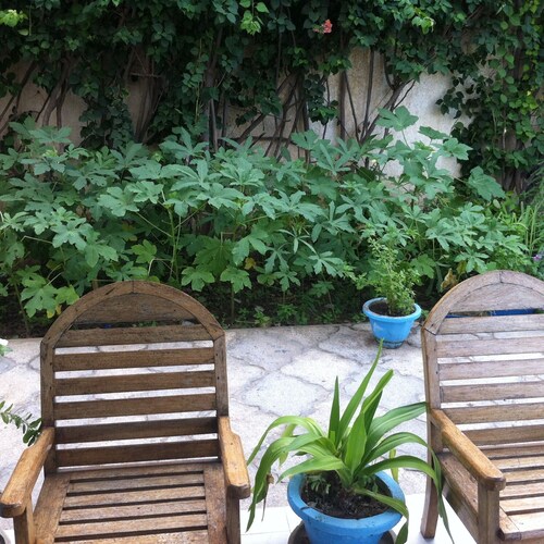 furnished in saint louis