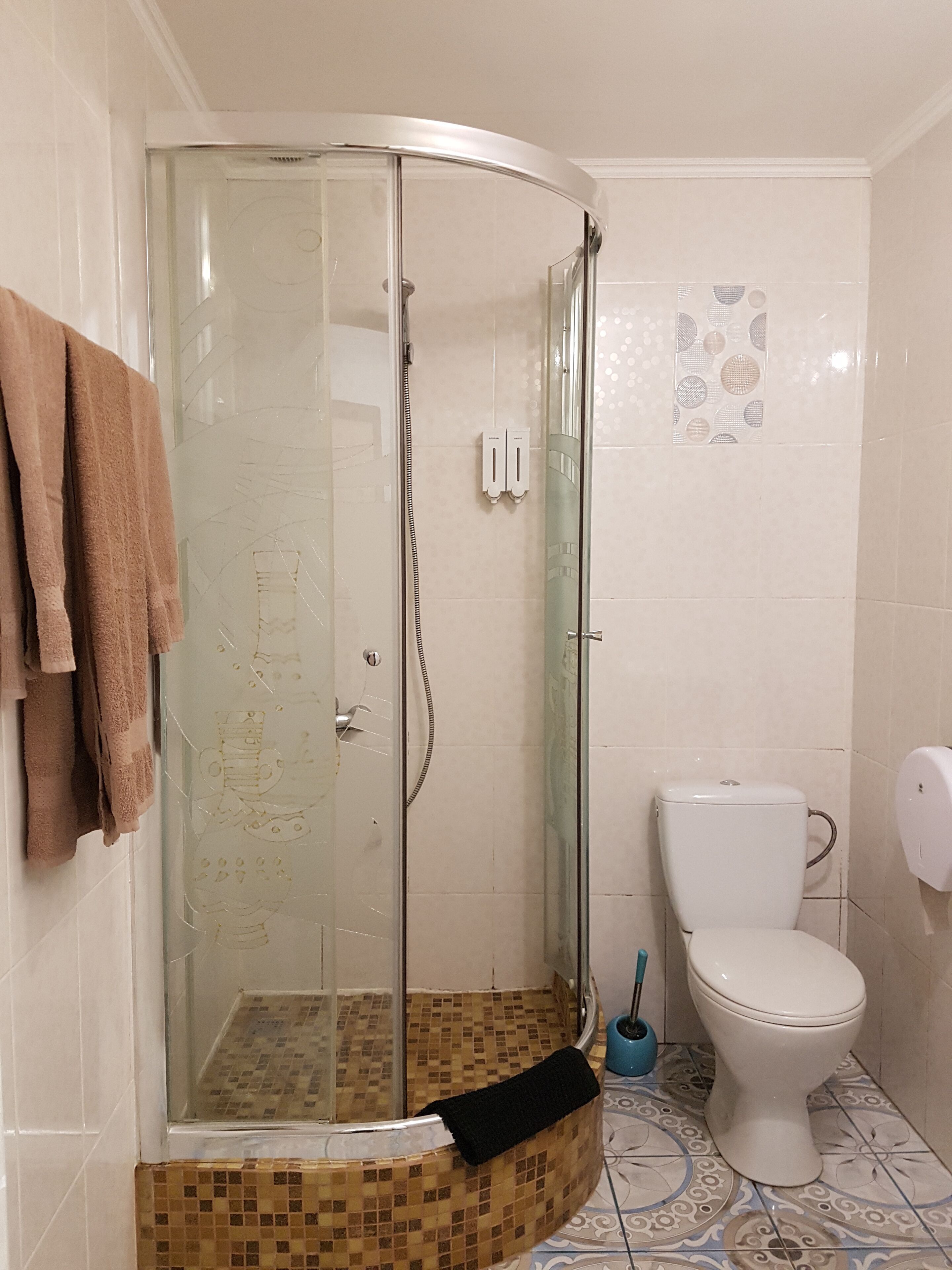 Une salle de bain avec une douche à parois de verre, des toilettes et un porte-serviettes.