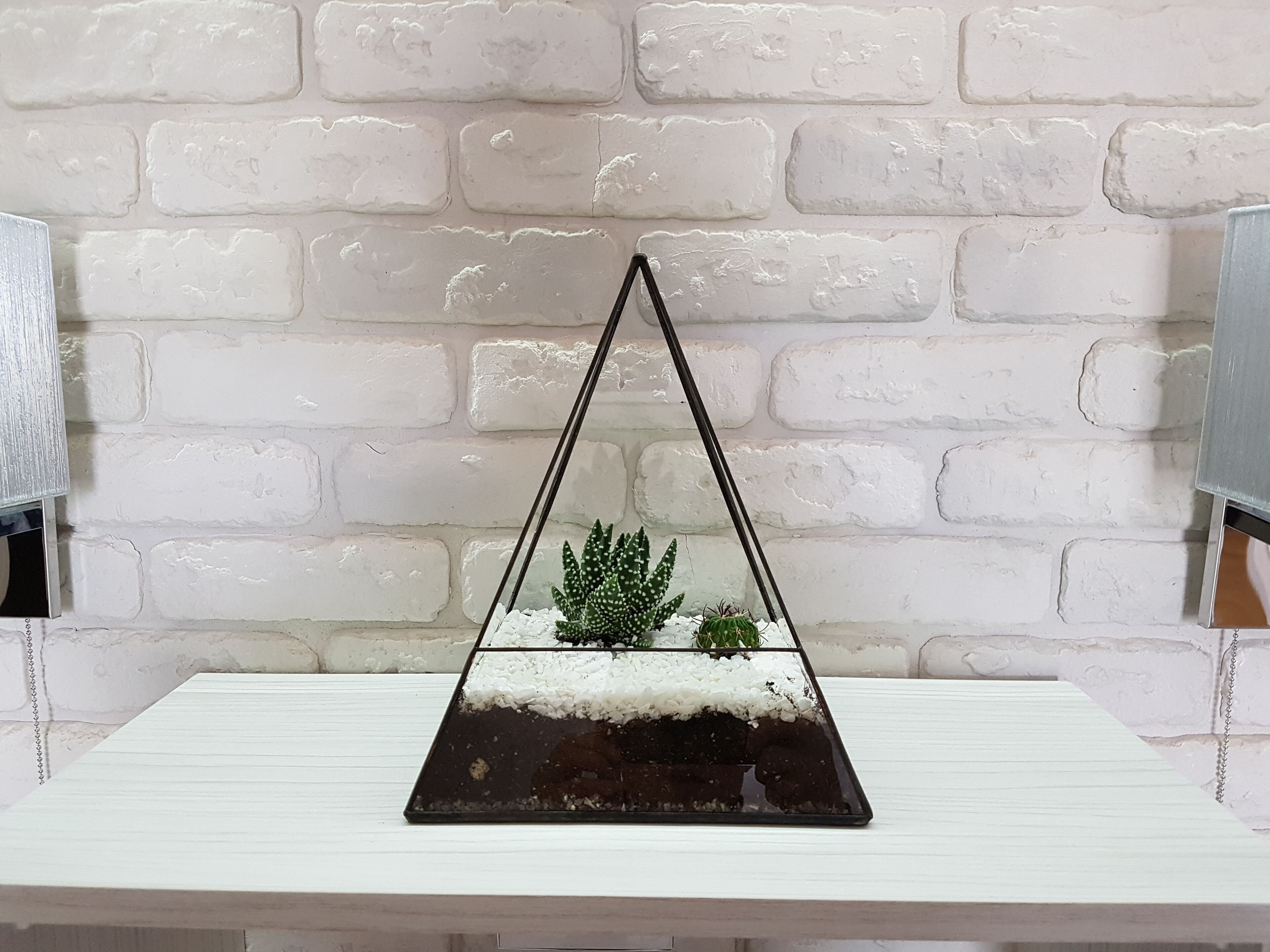 A glass terrarium with a plant on a white table against a white brick wall.