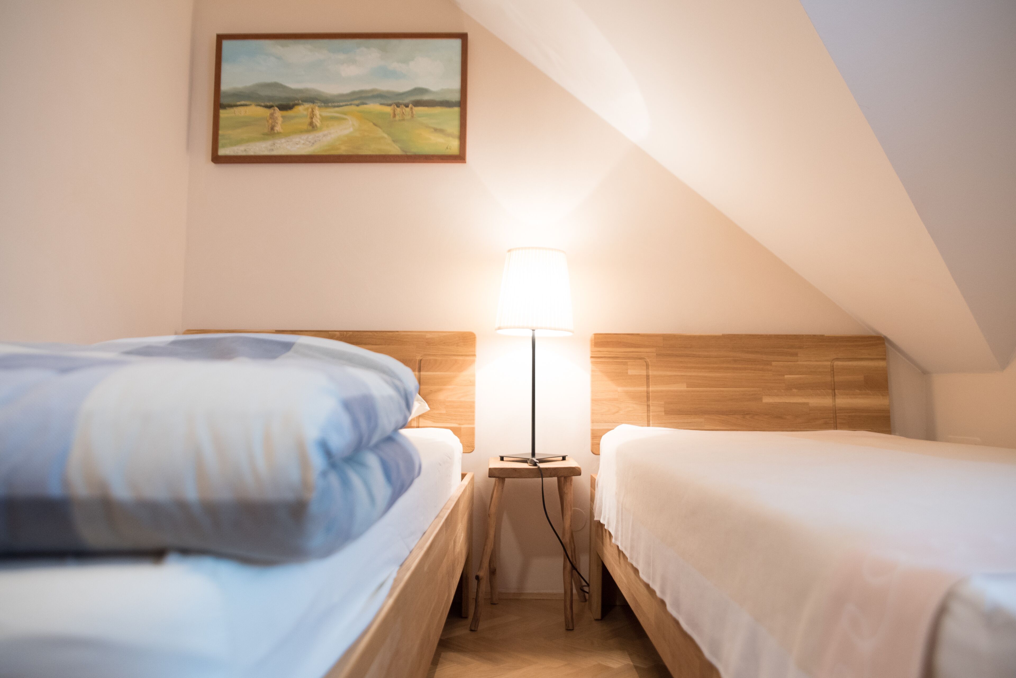 Een slaapkamer met twee bedden, een nachtkastje met een lamp en een schilderij aan de muur.