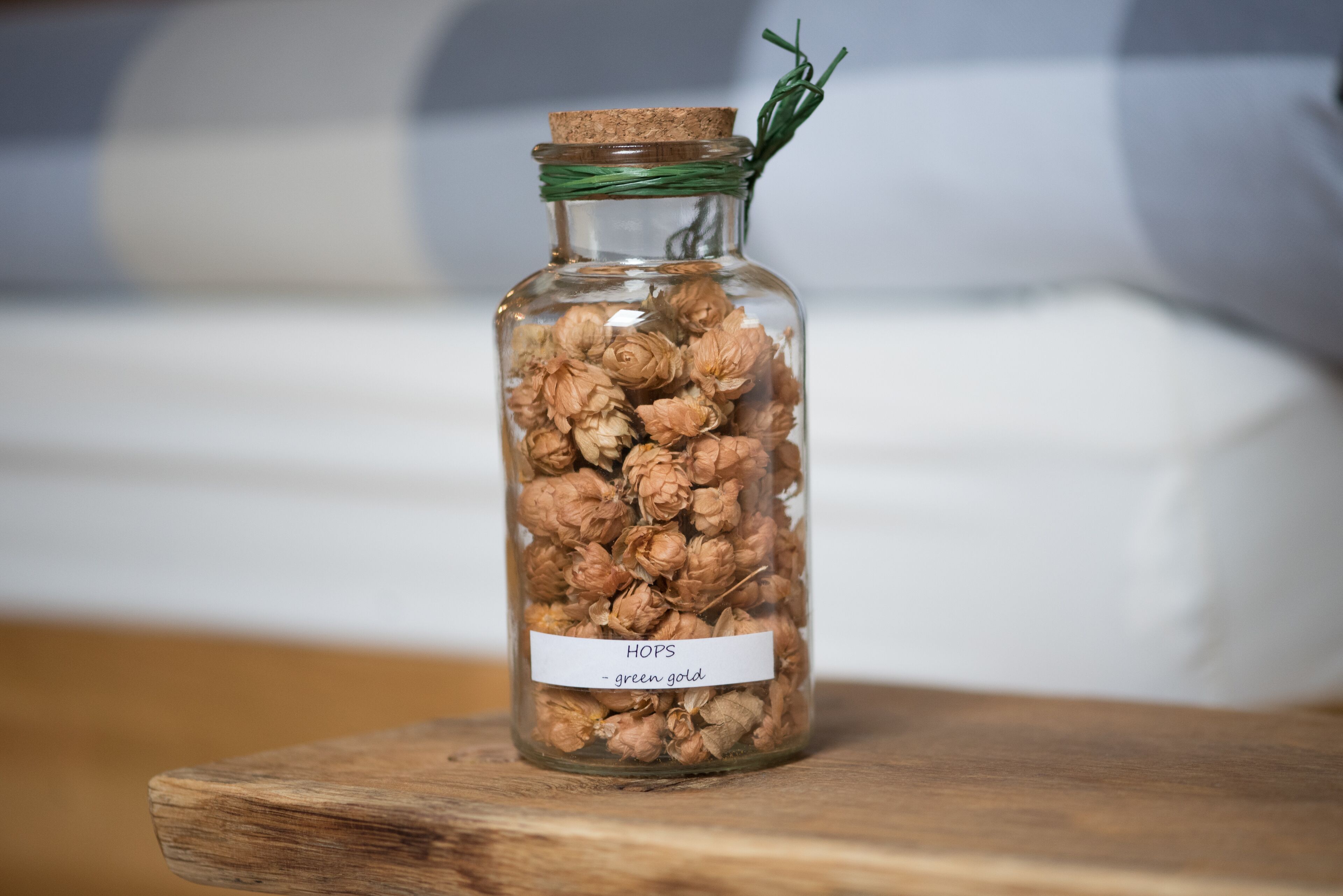 A glass jar with a cork lid containing dried hops labeled "green gold."