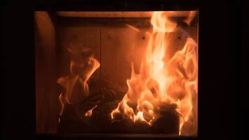 A fireplace with visible logs and flames.