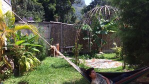 A hammock in a lush garden with a dog in the background. - Tropical, private, safe brand new 3 bedroom home (panajachel)