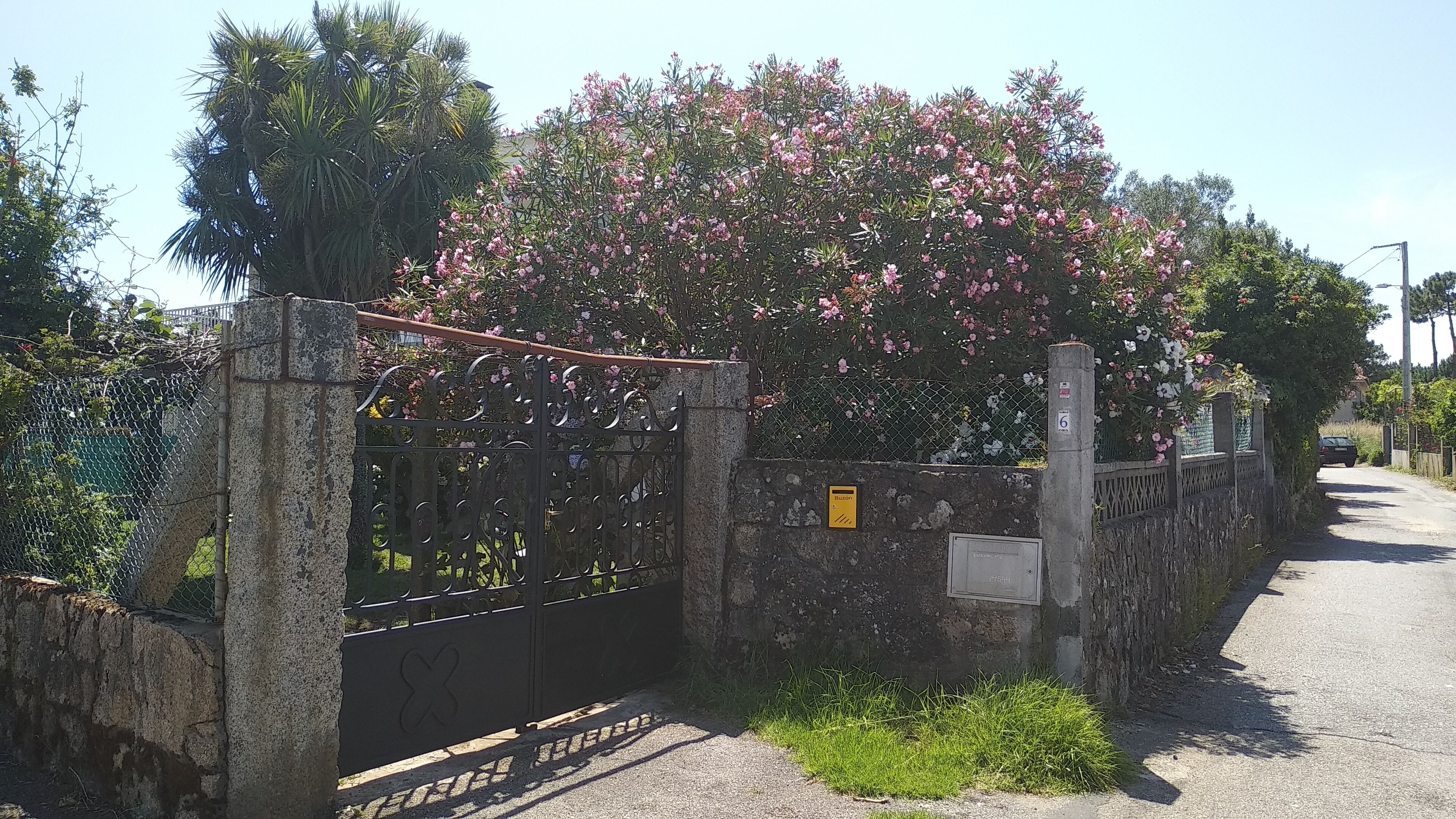 Terrein van de accommodatie