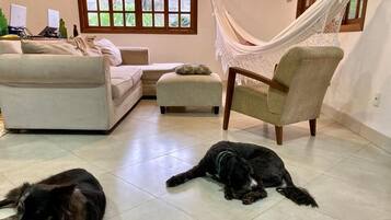 TV, livros, aparelho de som
