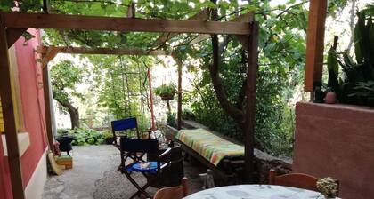 Casa Ara: ambiente rural a tiro de piedra del centro